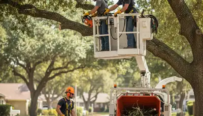 Professional tree pruning service in Philadelphia, PA by Arbor Tree Care