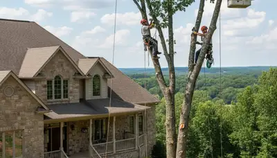 Philadelphia, PA tree service team providing professional tree removal for homeowners and businesses