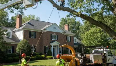 Tree service crew in Philadelphia, PA performing professional tree removal for a local property